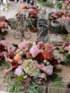 Классика, Рустик в Выездная регистрация, На веранде, Ресторан / Банкетный зал от Студия декора и флористики Porto Floral 42