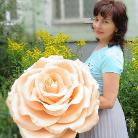 Фотозона в Классика от  1