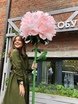 Фотозона в Классика от  1