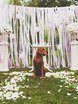Выездная регистрация в Классика от Bella lumore 1