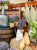 filter_chto_decorating в filter_style_decora от Студия декора и флористики Premiumflor 3