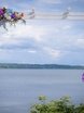 filter_style_decora в filter_place_decora от Krokusdecor - студия декора Елены Сиухиной 16