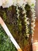 filter_chto_decorating в filter_style_decora от Krokusdecor - студия декора Елены Сиухиной 5