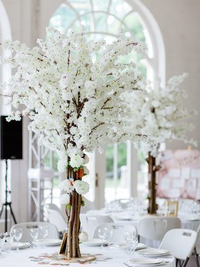 filter_chto_decorating в filter_style_decora от Студия декора Gogelia-Decor 1