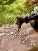 Рустик в Природа, Ресторан / Банкетный зал от Студия декора Абетель декор 8