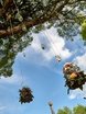 Рустик в Природа, Ресторан / Банкетный зал от Студия декора Абетель декор 13