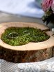 Выездная регистрация в Рустик от Студия декора Абетель декор 6