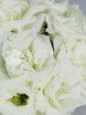 Монобукет из одного вида цветов, Классический круглый name от Букет Маркет 4