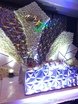 Президиум / Стол молодоженов в Модерн от Krokusdecor - студия декора Елены Сиухиной 2