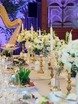 Фотоотчет с разных свадеб Major Wedding от Свадебное агентство Major Wedding 7