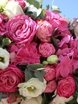 Шебби шик, Весенняя / Летняя в Выездная регистрация, Ресторан / Банкетный зал от  1