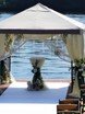 filter_chto_decorating в filter_style_decora от Студия декора Золотой шар 3