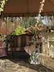 filter_chto_decorating в filter_style_decora от Студия декора Золотой шар 1