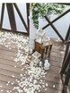 Выездная регистрация в Шебби шик, Бохо, Рустик от Студия декора и флористики Perlamutr studio 8