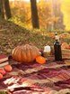 Шебби шик, Рустик, Осенняя в Выездная регистрация, На веранде, Природа, Ресторан / Банкетный зал от Студия декора и флористики Эндорфин 9