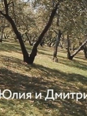 Видеоотчет со свадьбы Дмитрия и Юлии от  1