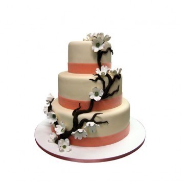 Мастика Трехъярусные 1 от Кондитерская Boutique cakes