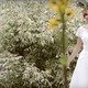 Лучшие видео от Владимира Матроскина