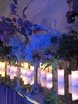 Классика, Весенняя / Летняя в Ресторан / Банкетный зал от Garden Poetry event and decor 1