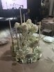 Столы и стулья гостей / Банкет в Классика, Весенняя / Летняя от Garden Poetry event and decor 3