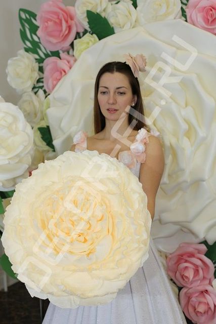 Фотозона в Классика, Шебби шик, Весенняя / Летняя от  1