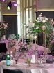 Столы и стулья гостей / Банкет в Прованс от Студия декора и флористики Secret Garden Decor 5