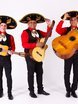 Кавер-группа LATINOexpress на свадьбу 1