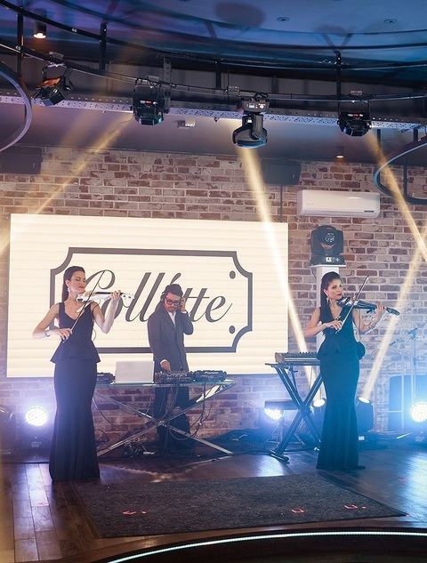 Delight Show на свадьбу 1