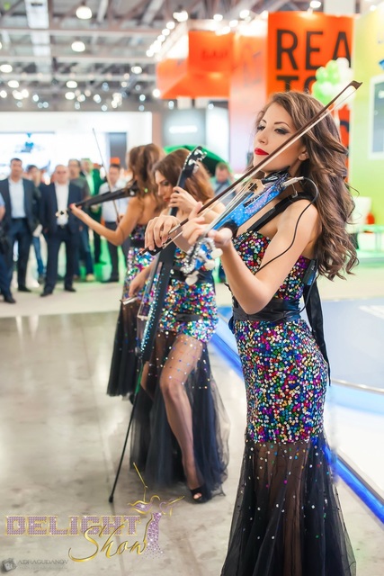 Delight Show на свадьбу 1