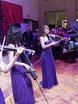 Delight Show на свадьбу 1