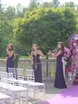 Delight Show на свадьбу 3