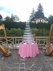 Arfa Project на свадьбу 1