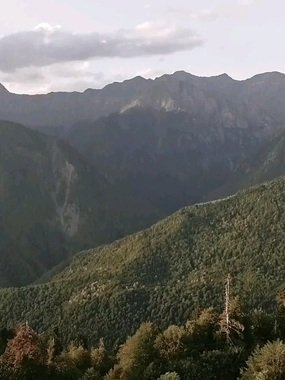 Видеоотчет со свадьбы Дарьи и Дмитрия от Артём Корчагин 1