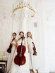 Violante orchestra на свадьбу 1