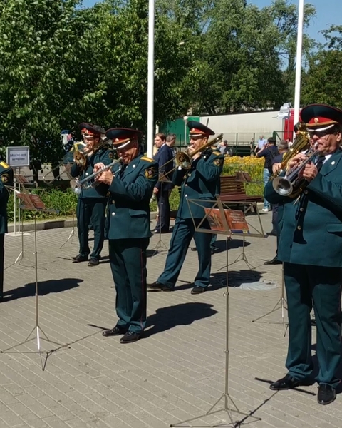 Оркестр Модерн на свадьбу 1