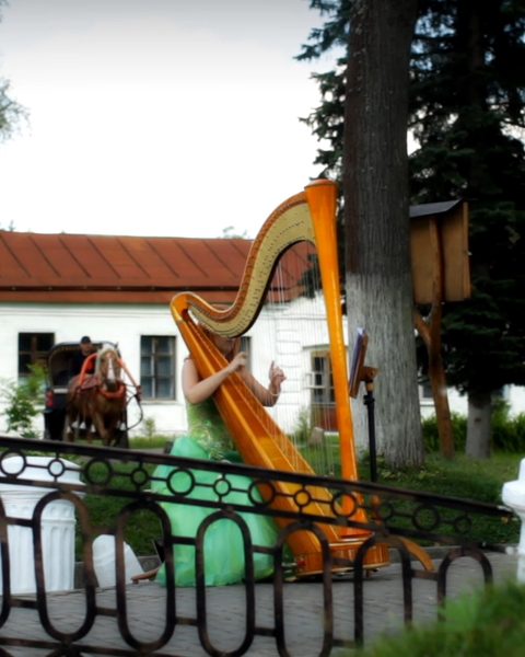 Ольга Логачёва на свадьбу 1