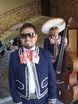 Mariachi Los Panchos на свадьбу 1