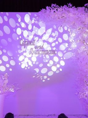 Фотозона в Эко от MWedding 1