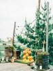 Фотозона в Рустик от MWedding 1
