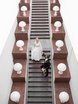 Фотоотчеты с разных свадеб 1 от Владимир Чернышов 8