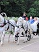 Свадьбы в Розарии Розарий 4