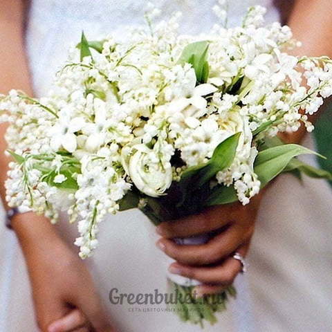 Раскидистый / Растрёпыш, Классический вытянутый name от Green Buket 1