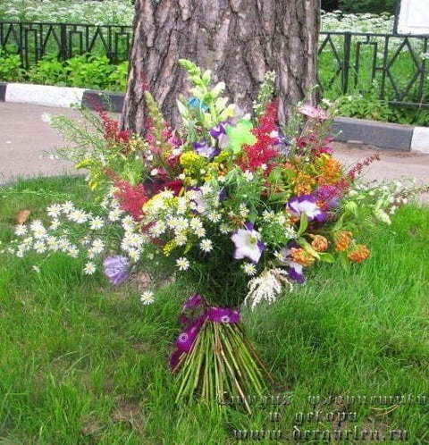Раскидистый / Растрёпыш name от Студия декора и флористики Der Garten 1