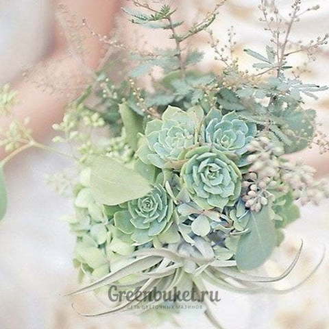 Раскидистый / Растрёпыш, Необычный, Классический круглый name от Green Buket 1