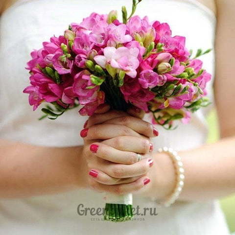 Монобукет из одного вида цветов, Классический круглый name от Green Buket 1