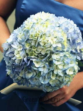 Классический круглый, Монобукет из одного вида цветов name от Green Buket 1