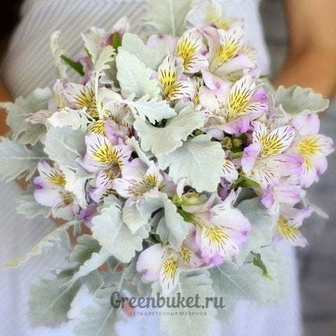 Раскидистый / Растрёпыш, Монобукет из одного вида цветов, Классический круглый name от Green Buket 1