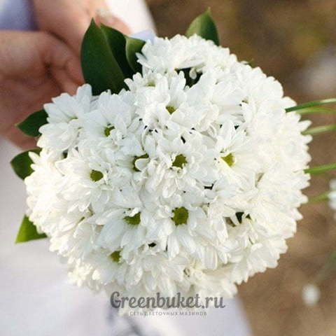 Монобукет из одного вида цветов, Классический круглый name от Green Buket 1